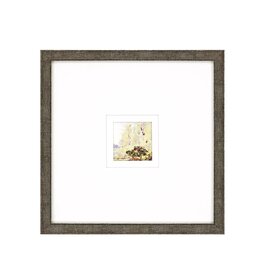 Paragon Petite Placid C