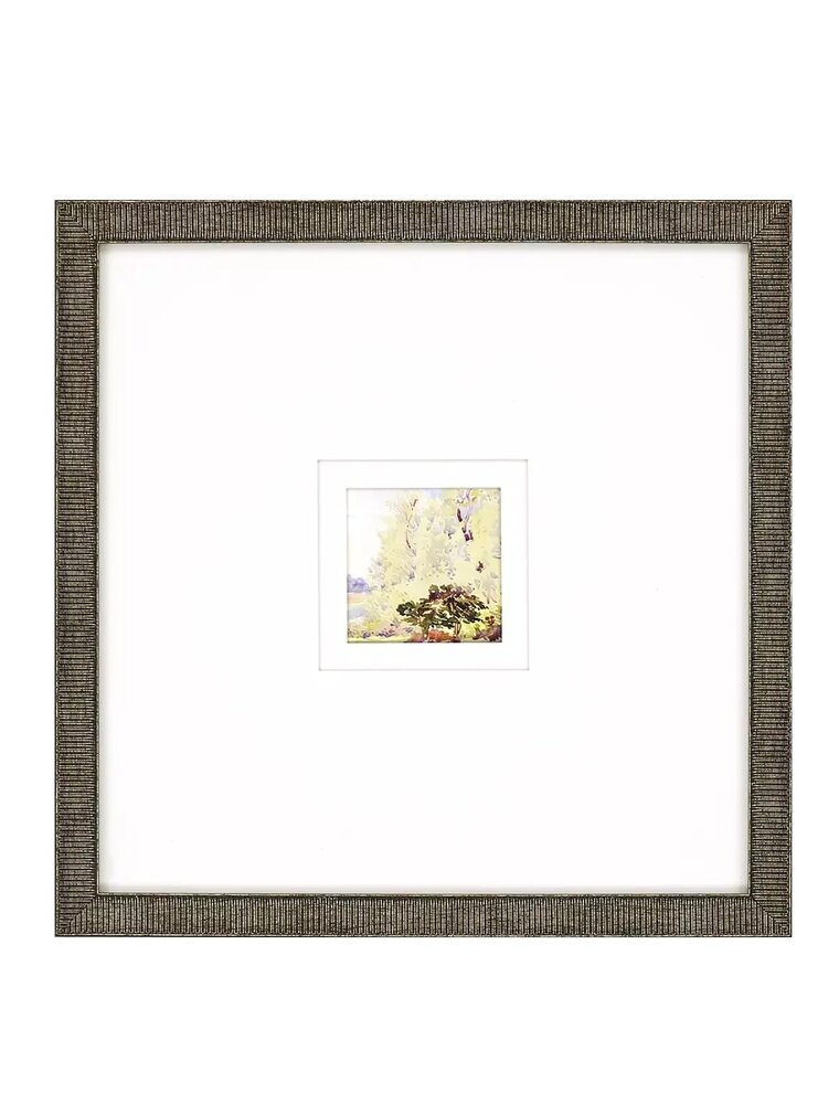 Paragon Petite Placid C