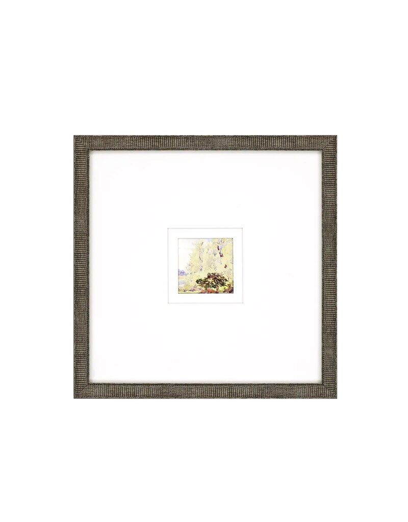 Paragon Petite Placid C