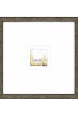 Paragon Petite Placid D