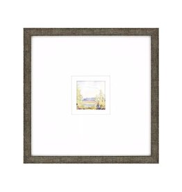 Paragon Petite Placid D