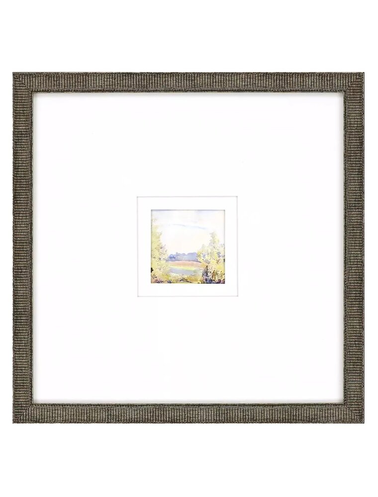 Paragon Petite Placid D