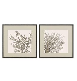 Paragon Taupe Coral, Set of 2