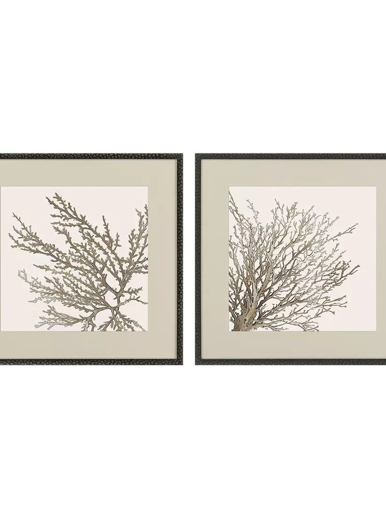 Paragon Taupe Coral, Set of 2