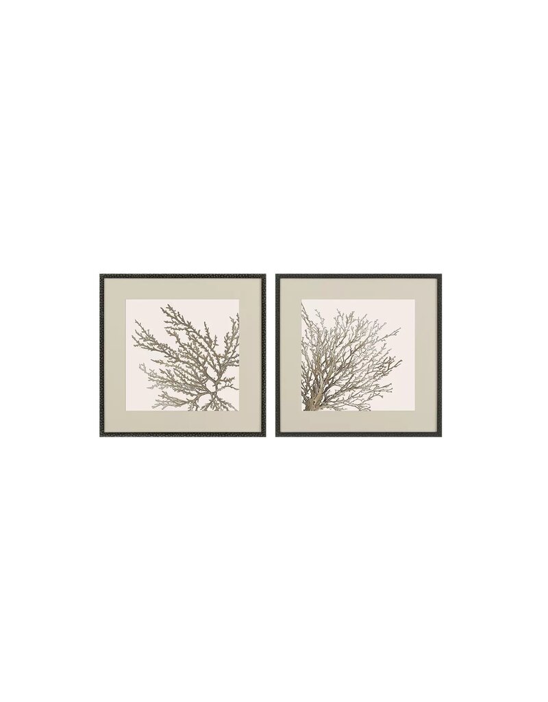 Paragon Taupe Coral, Set of 2