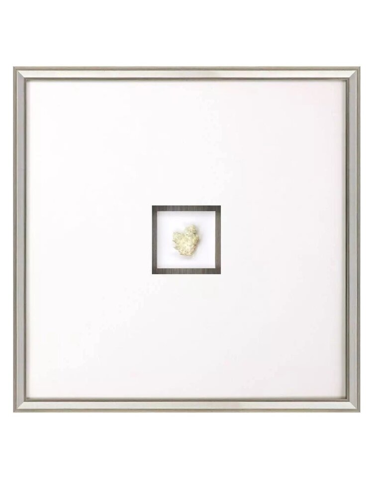 Paragon Coral III Shadow Box A