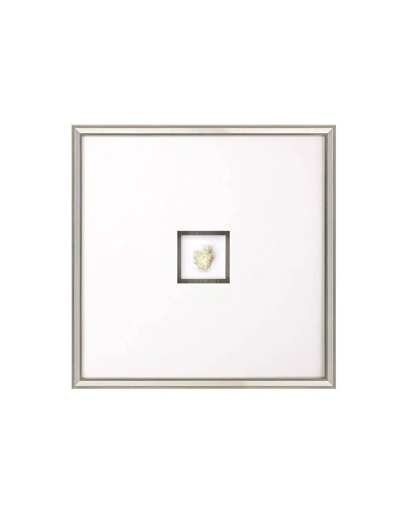 Paragon Coral III Shadow Box A