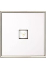 Paragon Coral III Shadow Box B