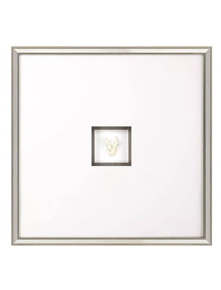 Paragon Coral III Shadow Box B