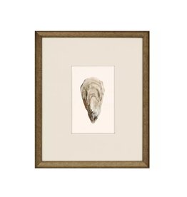 Paragon Ocean Blade - Brown