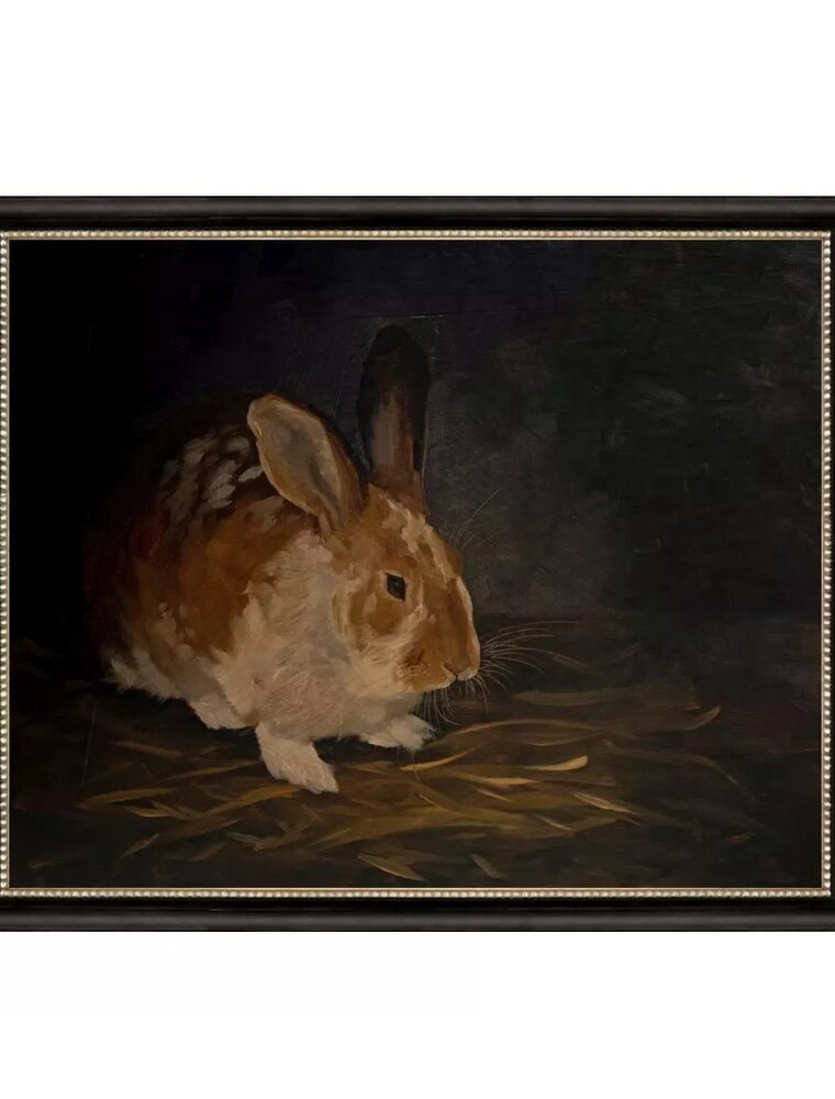 Paragon Resting Bunny - Brown Ears Up