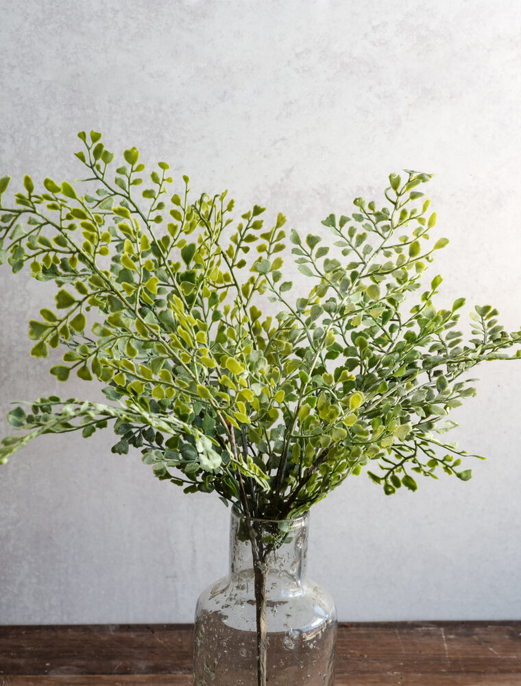 PD Home 17" Medium Coriander Leaf Bush