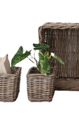 Sonoma Set of 3 Rattan Nested Baskets