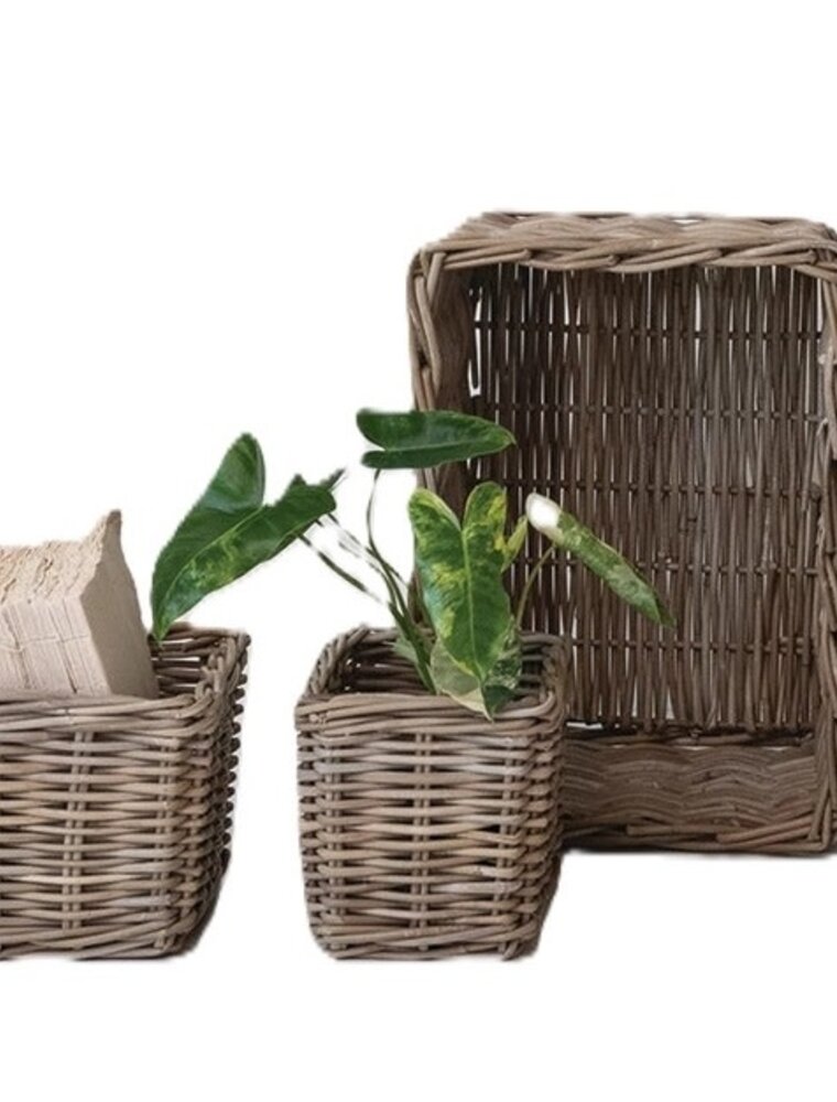 Sonoma Set of 3 Rattan Nested Baskets