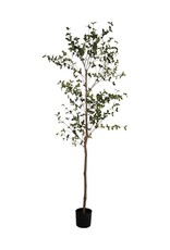 Bloom 98" Faux Ficus Tree