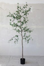 Bloom 98" Faux Ficus Tree