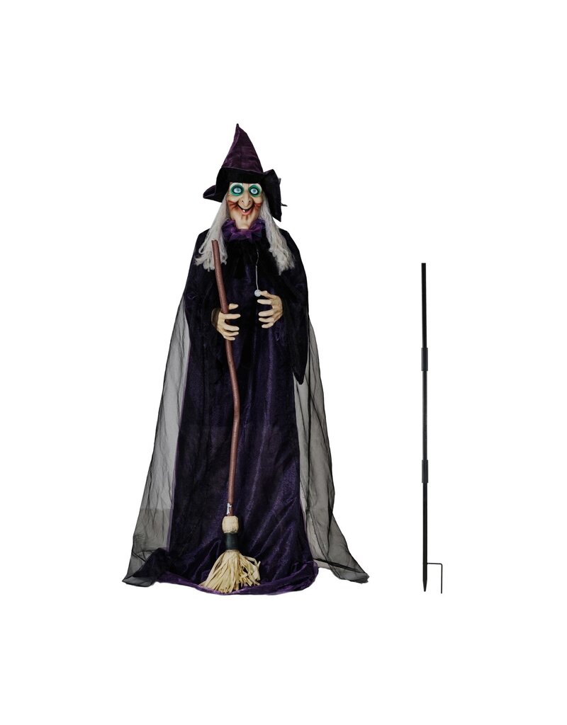 Animated Witch w/ Lights & Sound, Motion Activated