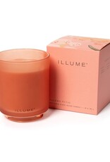 Beautifully Done Paloma Petal Boxed Glass Candle
