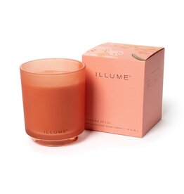 Beautifully Done Paloma Petal Boxed Glass Candle