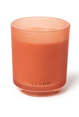 Beautifully Done Paloma Petal Boxed Glass Candle
