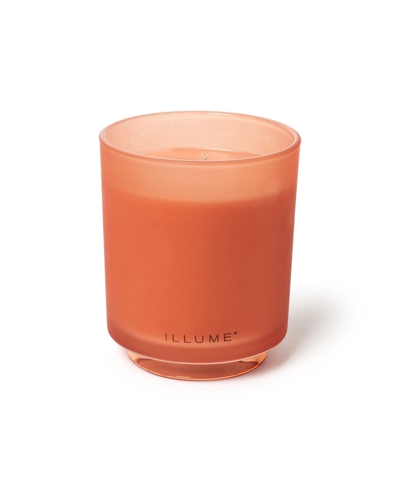 Beautifully Done Paloma Petal Boxed Glass Candle