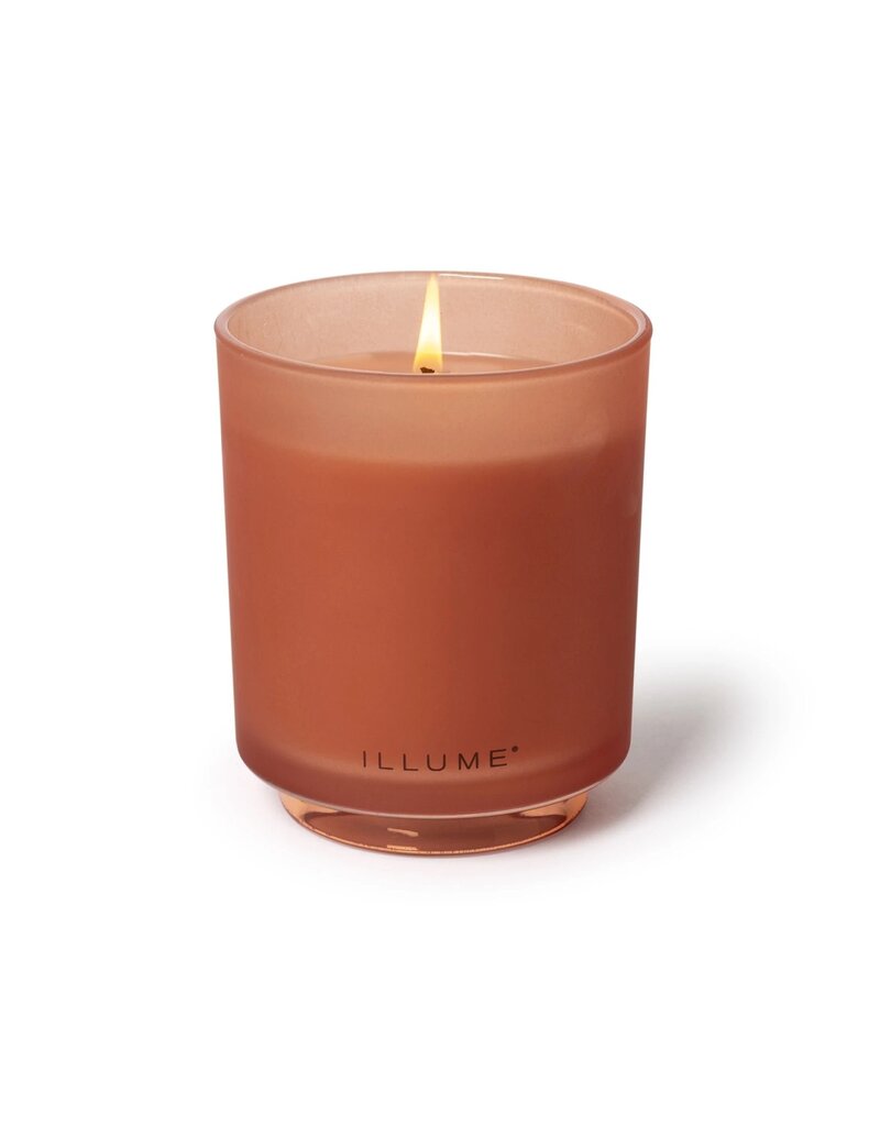 Beautifully Done Paloma Petal Boxed Glass Candle