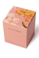 Beautifully Done Paloma Petal Boxed Glass Candle