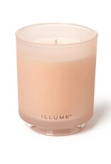 Beautifully Done Coconut Milk Mango Boxed Glass Candle