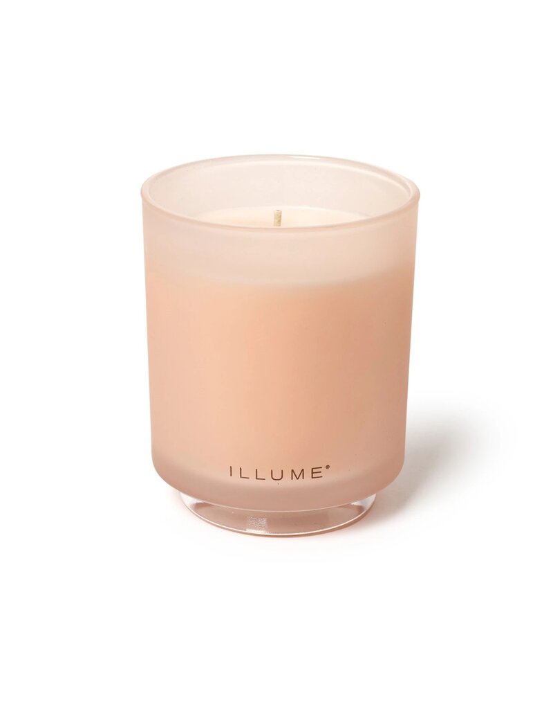 Beautifully Done Coconut Milk Mango Boxed Glass Candle