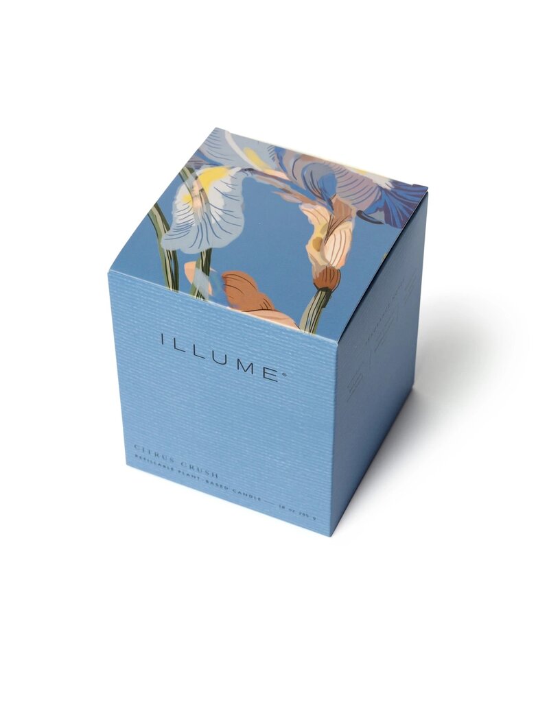 Beautifully Done Citrus Crush Boxed Glass Candle