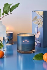 Beautifully Done Citrus Crush Matte Ceramic Candle