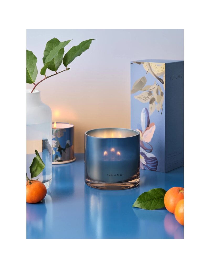Beautifully Done Citrus Crush Matte Ceramic Candle