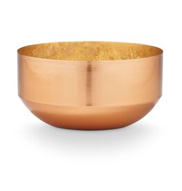 Essentials Coconut Milk Mango Fresh Cut Medium Metal Candle