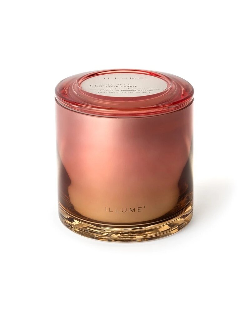 Beautifully Done Paloma Petal Statement Glass Candle