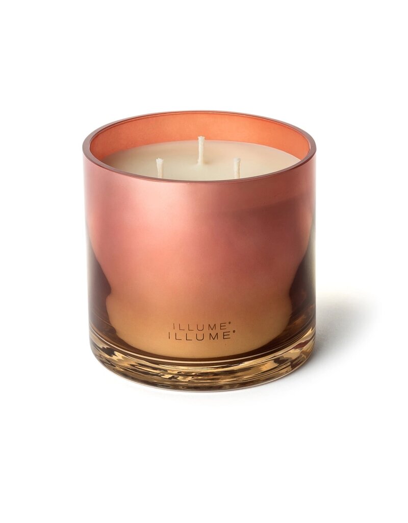 Beautifully Done Paloma Petal Statement Glass Candle