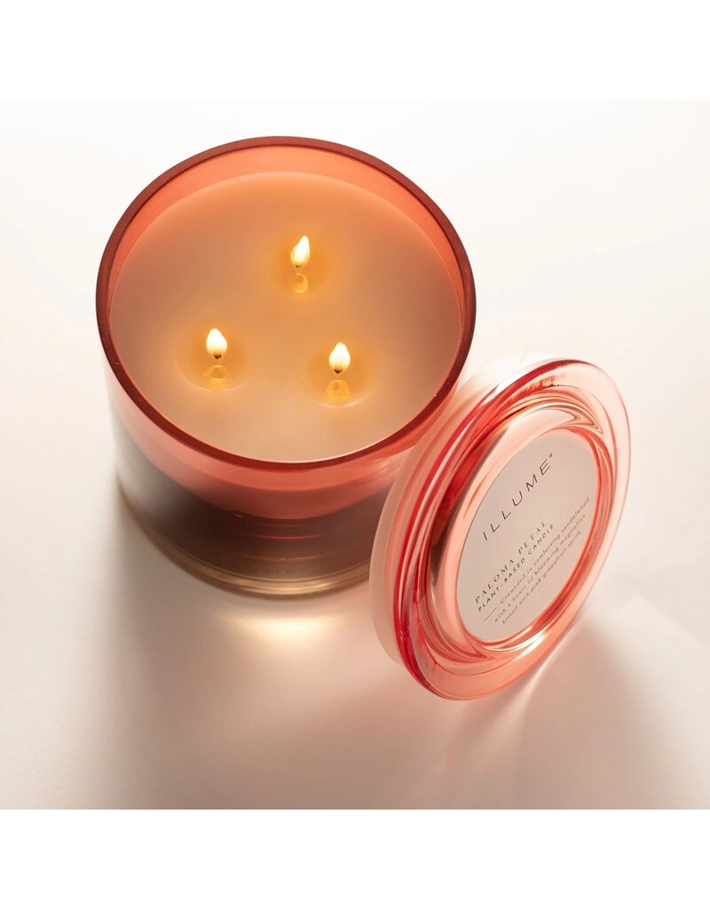 Beautifully Done Paloma Petal Statement Glass Candle