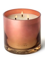 Beautifully Done Paloma Petal Statement Glass Candle