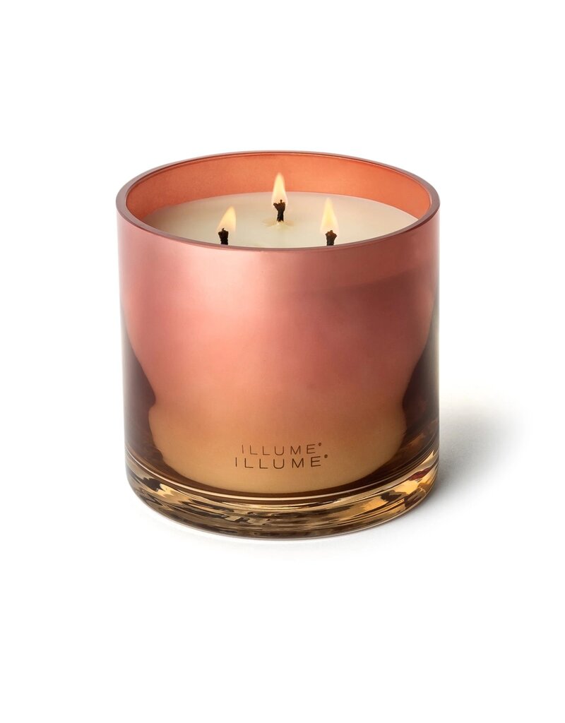 Beautifully Done Paloma Petal Statement Glass Candle