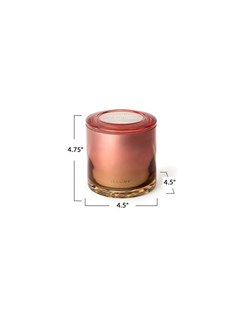 Beautifully Done Paloma Petal Statement Glass Candle
