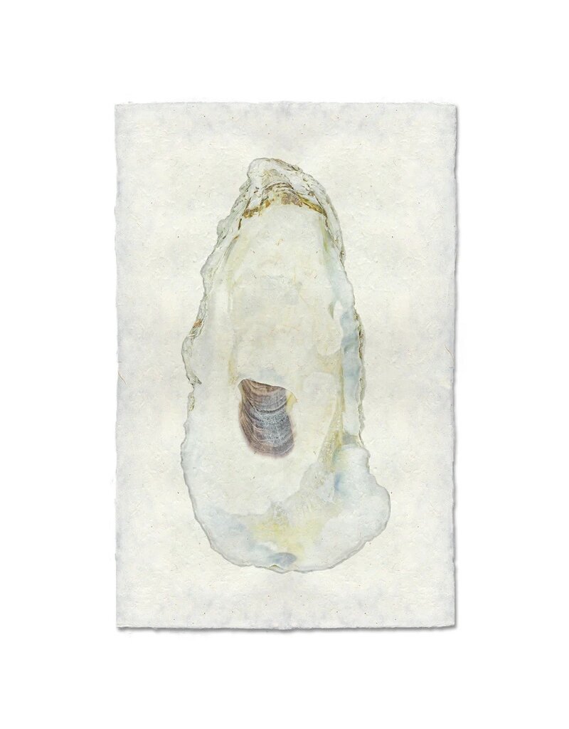 Barloga Studios Oyster Study #11 Print with Gold Magnets, Rope & Steel Hanger