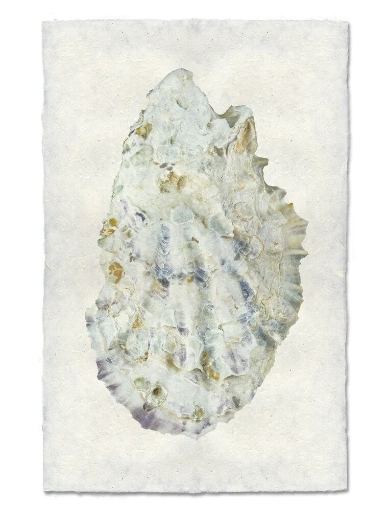 Barloga Studios Oyster Study #2 Print with Gold Magnets, Rope & Steel Hanger