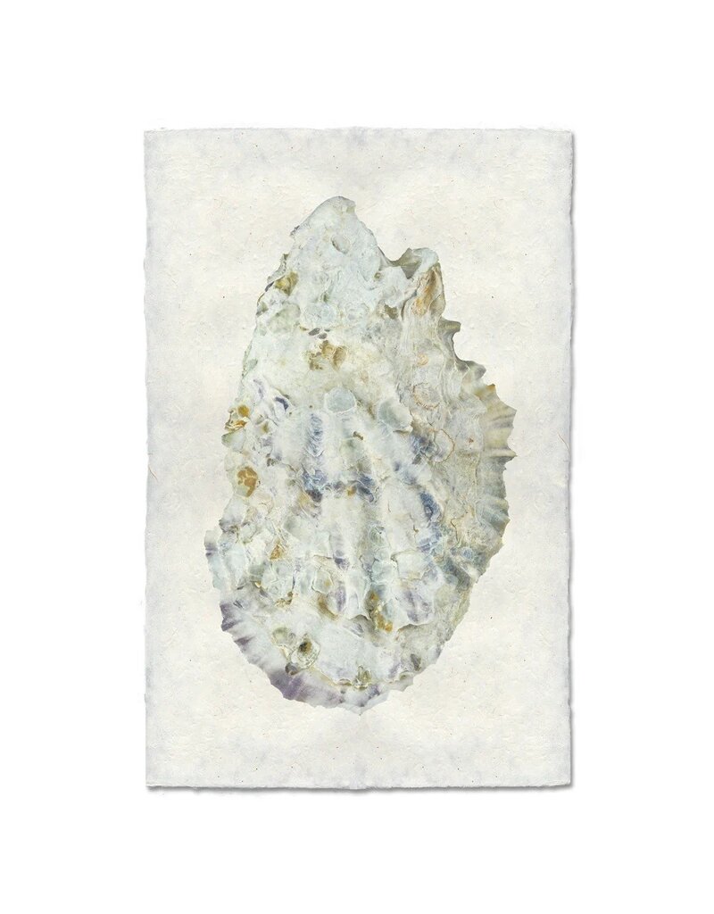 Barloga Studios Oyster Study #2 Print with Gold Magnets, Rope & Steel Hanger