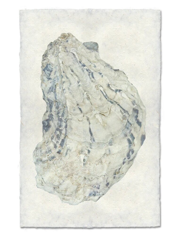 Barloga Studios Oyster Study #15 Print with Gold Magnets, Rope & Steel Hanger