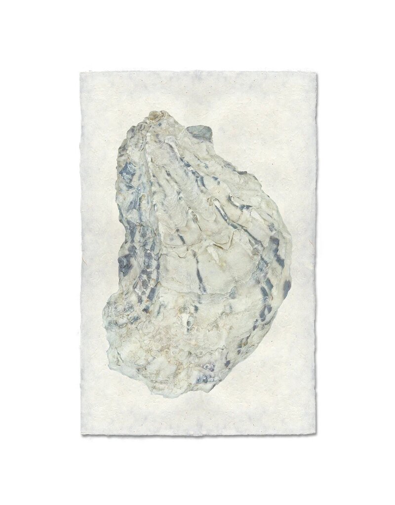 Barloga Studios Oyster Study #15 Print with Gold Magnets, Rope & Steel Hanger