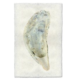 Barloga Studios Oyster Study #5 Print with Gold Magnets, Rope & Steel Hanger