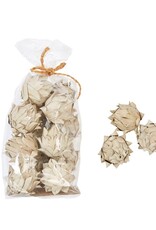 Bloom Dried Artichoke in Bag