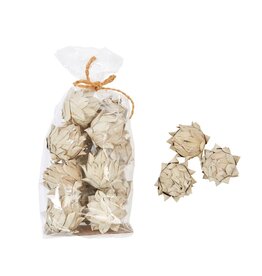 Bloom Dried Artichoke in Bag