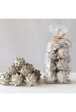 Bloom Dried Artichoke in Bag