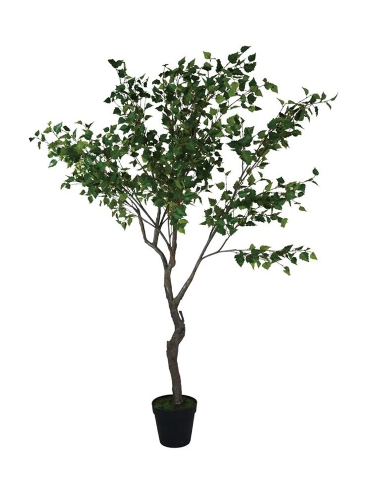 Bloom 8' Faux Birch Tree