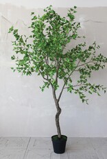 Bloom 8' Faux Birch Tree